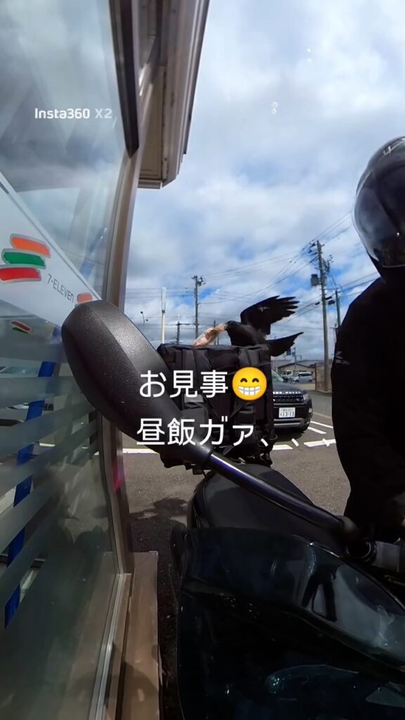 昼食を奪われる様子④（＠bad_uber_riderさんより提供）