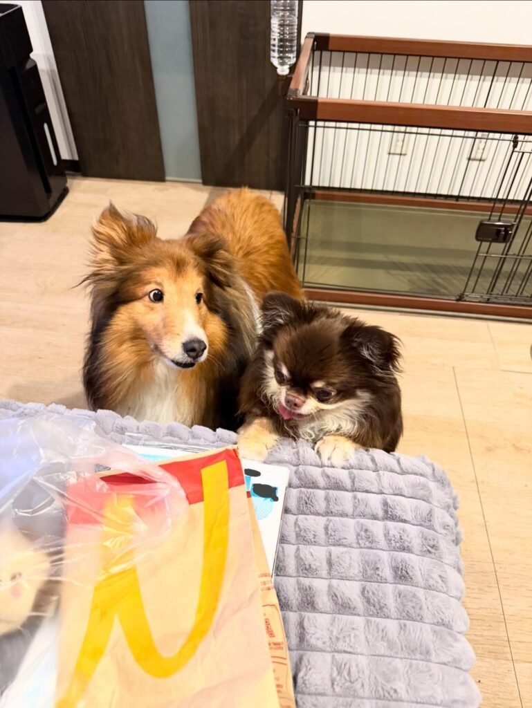 愛犬の様子（＠yuna_myhome_xevoさんより提供）