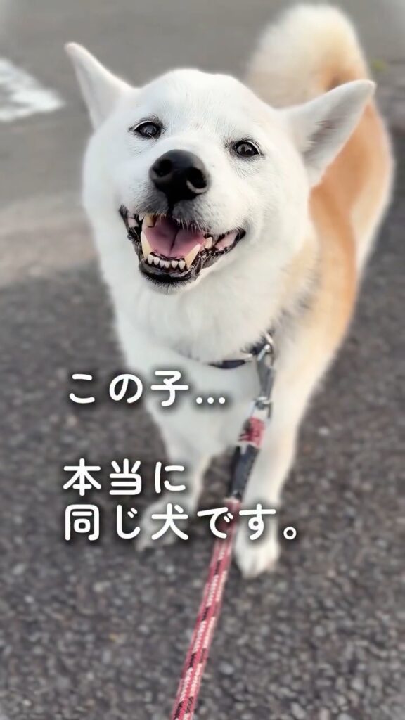 【実際の写真】　　現在の様子