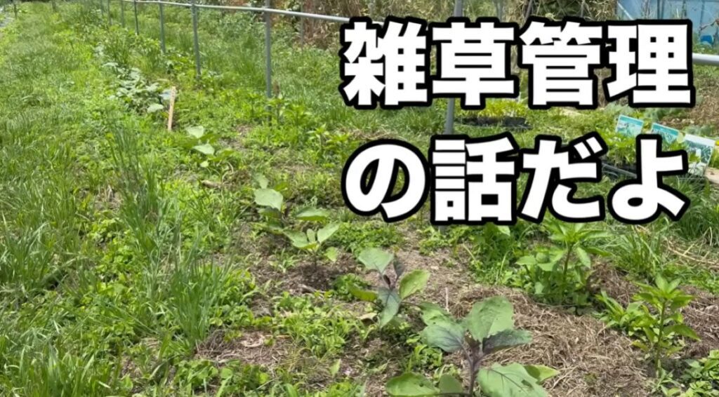 雑草管理について①（＠ちょこっと自給農さんより提供）