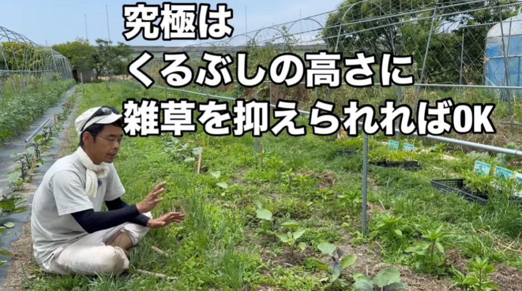 【実際の写真】　　投稿された写真