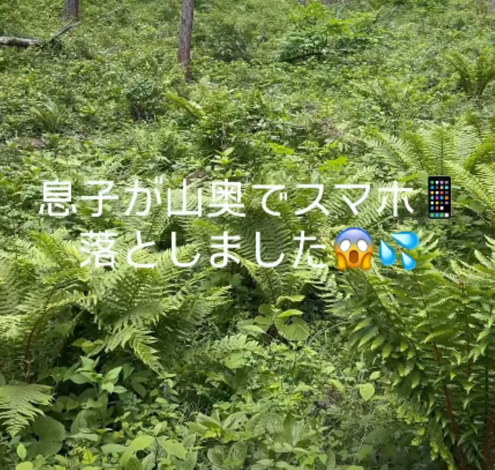 スマホの捜索③（＠choho_daggerさんより提供）