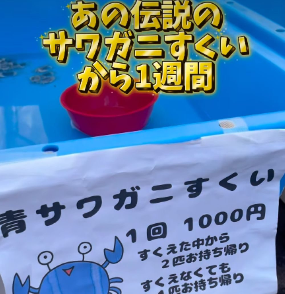 サワガニすくいで手に入れたサワガニ。→その1週間後の光景に92万再生「腹抱えて爆笑」「最後でぶち壊し」