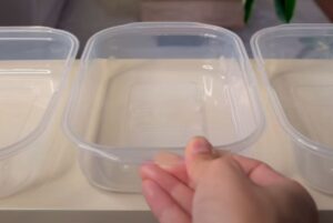 節約を頑張っている女性→1食161円のお弁当を作った結果……「めっちゃ助かります！」「天才すぎる」