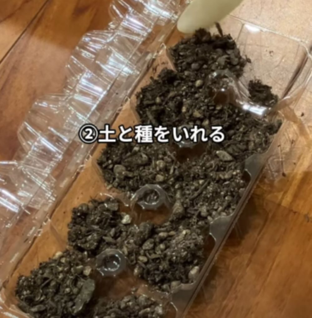 卵パックでミニ温室③（＠eneggo_tamagonoekihiさんより提供）