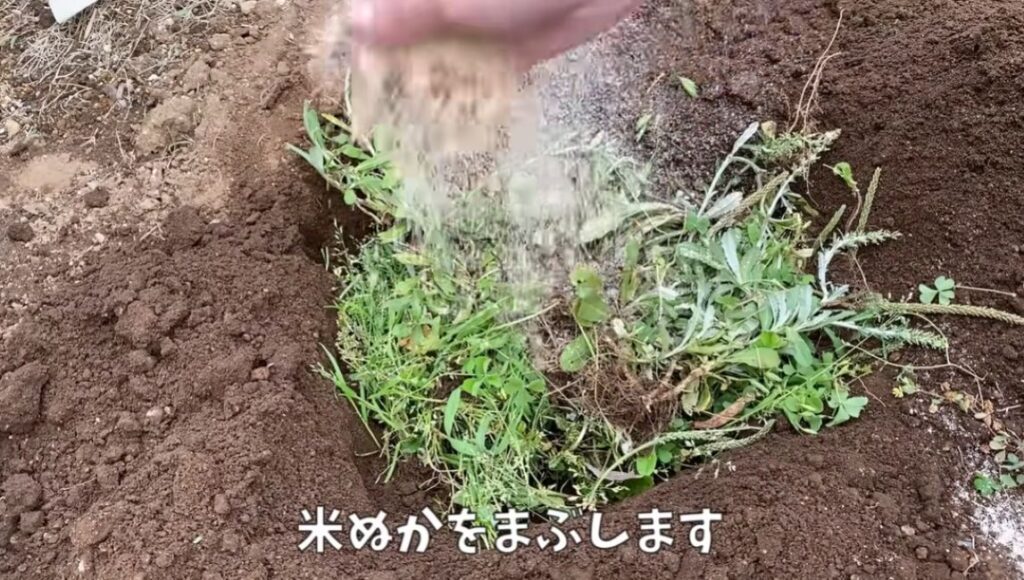 雑草の活用方法①（＠noringoさんより提供）