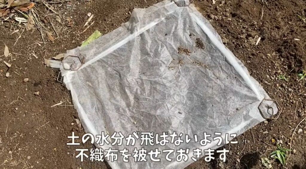 雑草の活用方法②（＠noringoさんより提供）