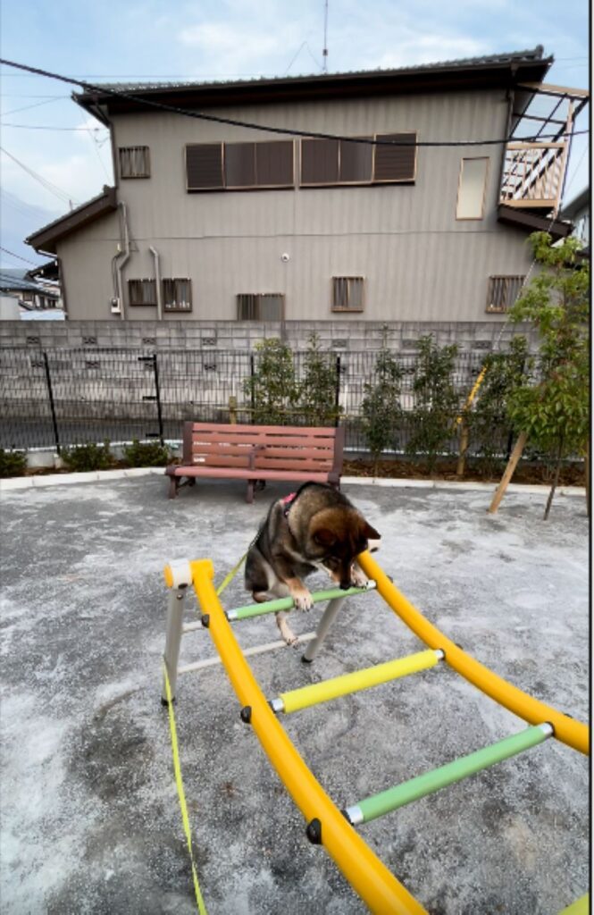 【実際の写真】　　投稿された写真