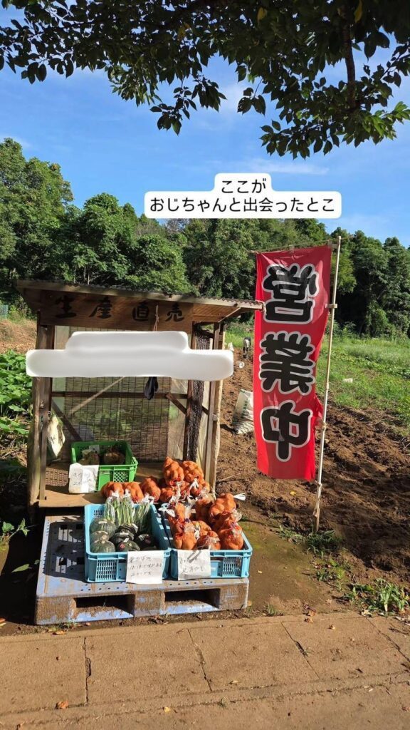 【実際の写真】　　投稿された写真