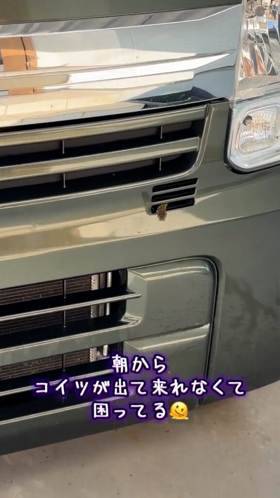 車のフロント②（＠babu_babu280さんより提供）