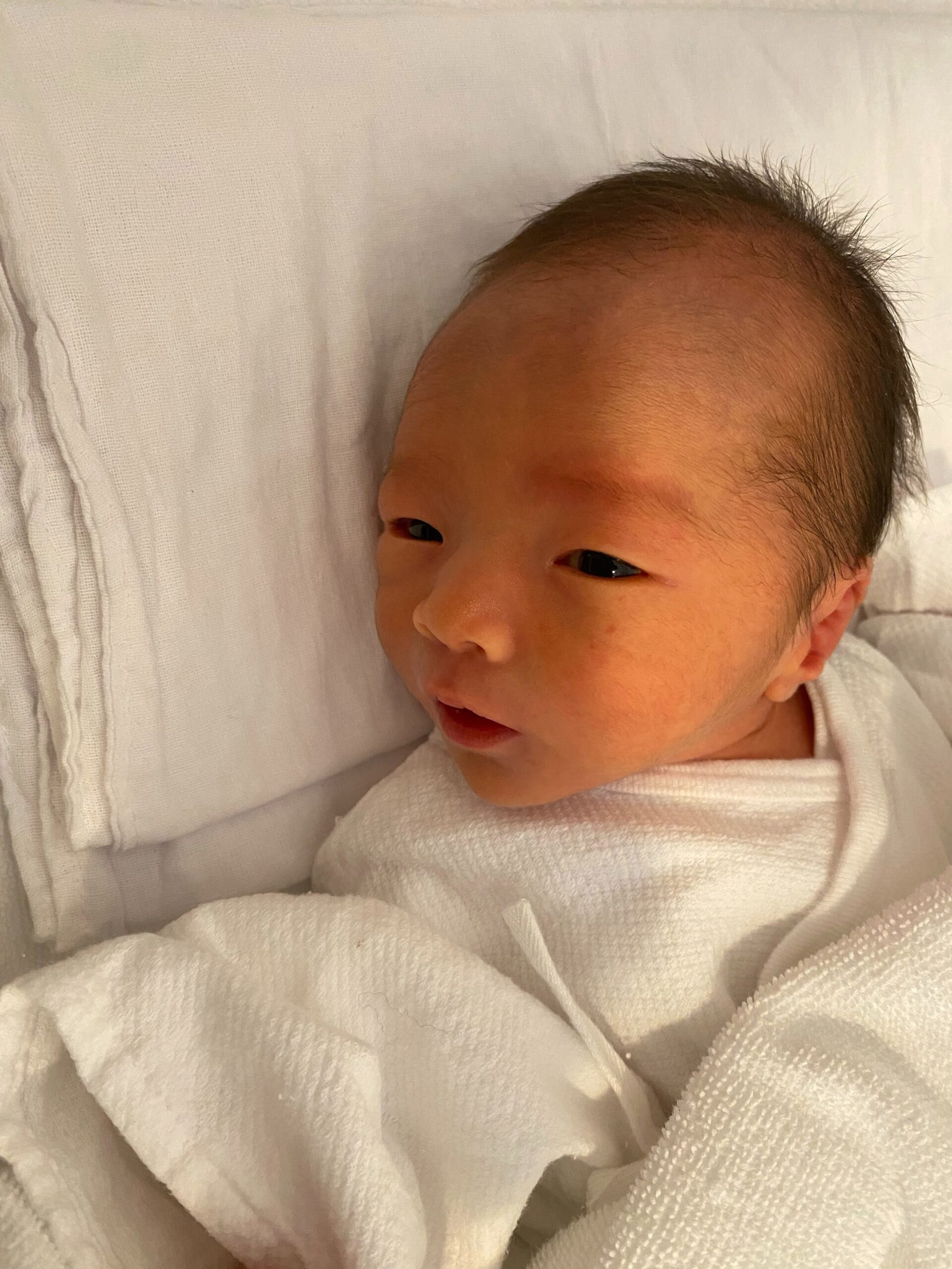 生まれたときは「顔が小さい」と言われていた赤ちゃん。成長した”現在のまさかの姿”に…「こりゃイケメンになる」「あまりにもキュルキュル」