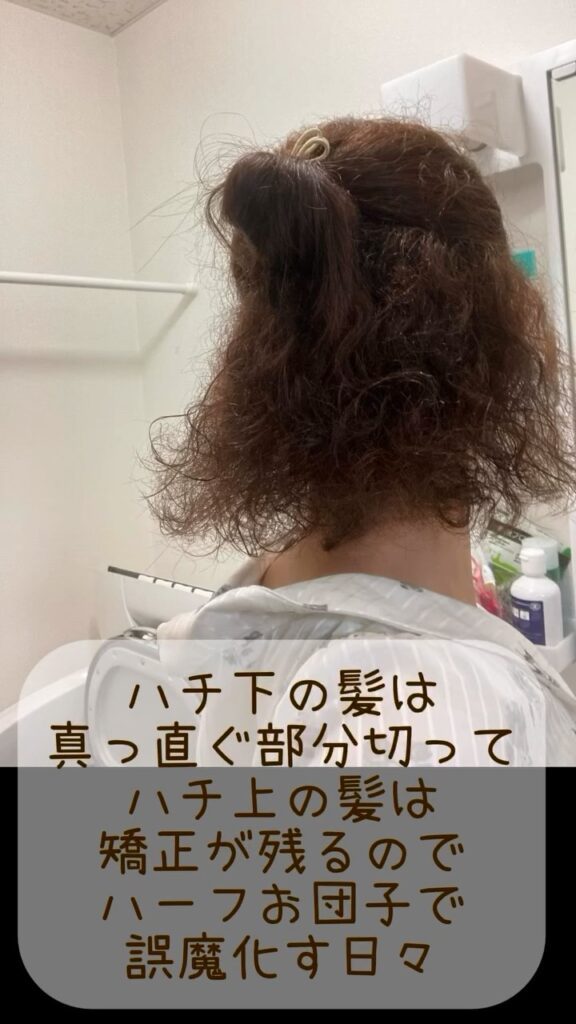 髪を伸ばす過程②（＠curly_asuhaさんより提供）