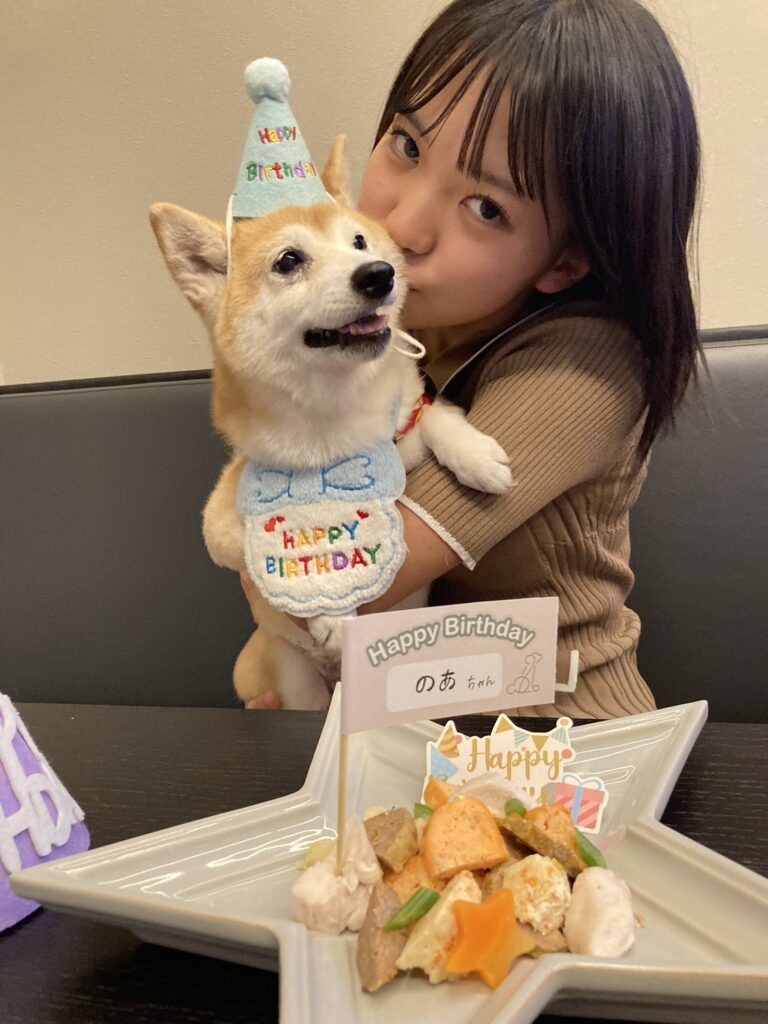 【実際の写真】　　投稿された写真