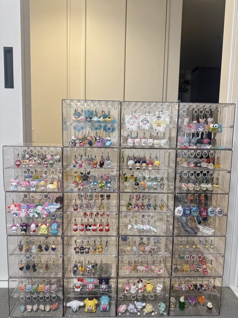 めじるしアクセサリーのコレクション①（＠j.vell_1122さんより提供）