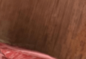 A5ランクの牛肉をいただいた女性。しかし→「貰いに来てください、、」投稿された“まさかの光景”に「マジで言うてる…？」