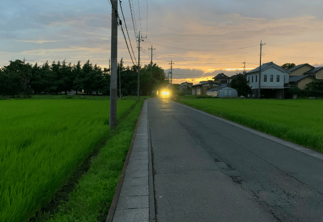 【実際の写真】　　投稿された写真