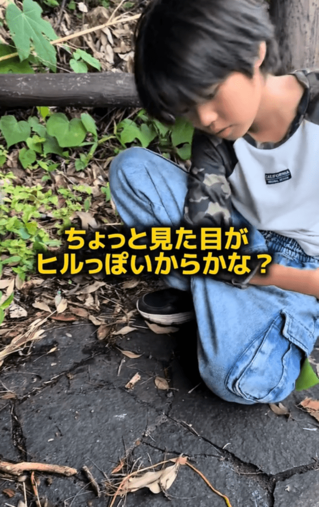 観察会①（＠yz.910さんより提供）