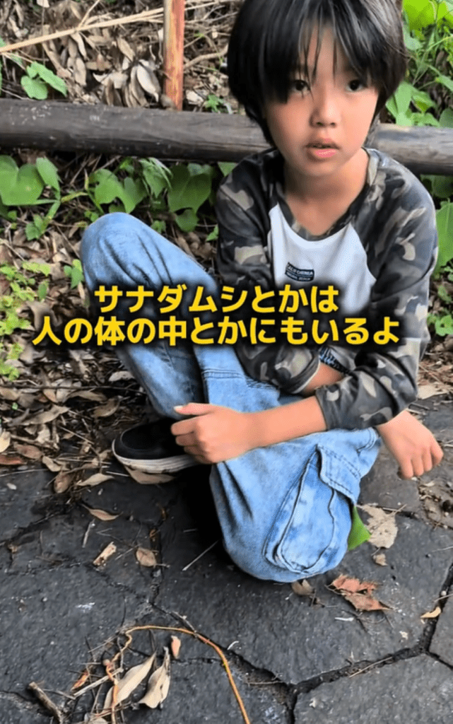 【実際の写真】　　投稿された写真
