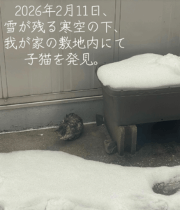 雪の残る冬の日、ガレージ前で見つけたまさかの生き物→保護後の現在の姿に…「過酷な状況でしたね」「寒くて動けなかったのかも」