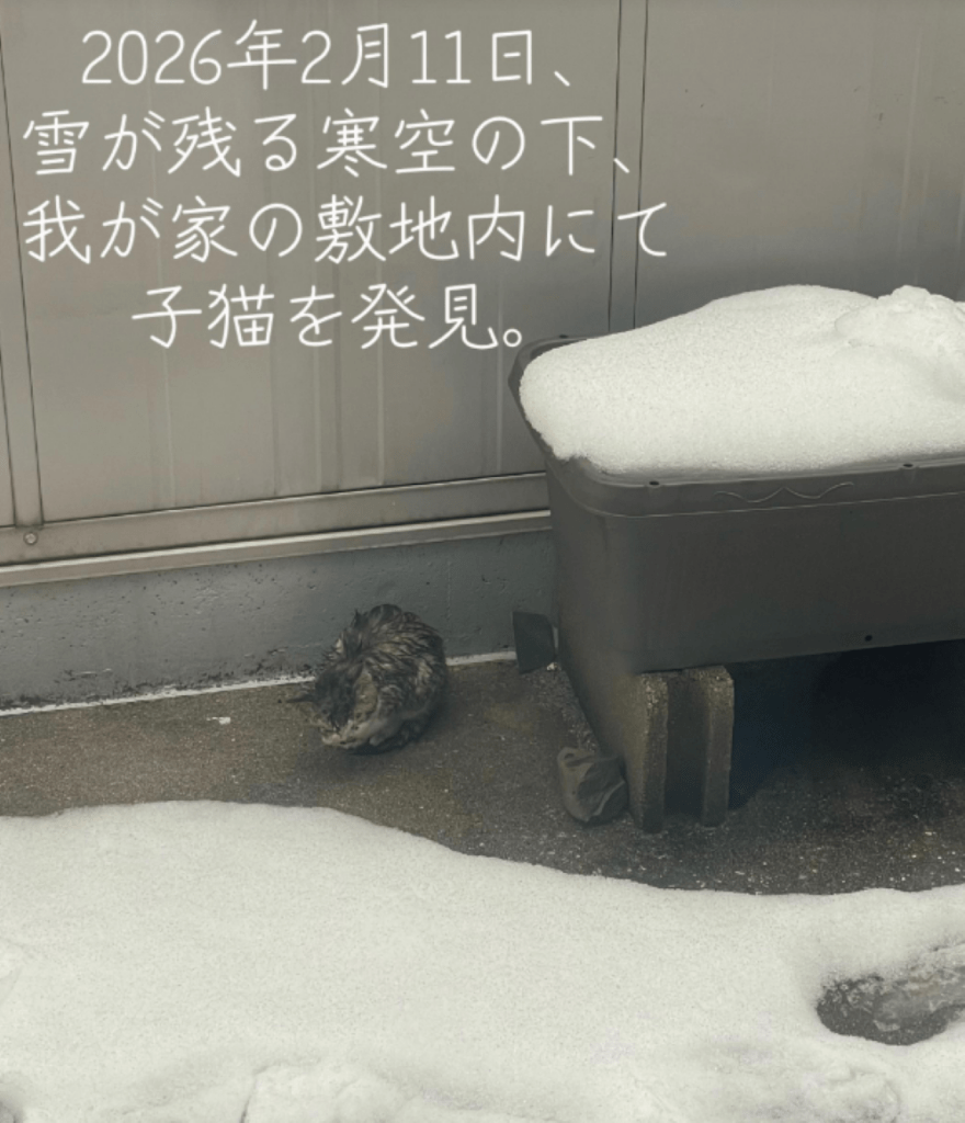 保護当初の様子①（＠alo021106さんより提供）