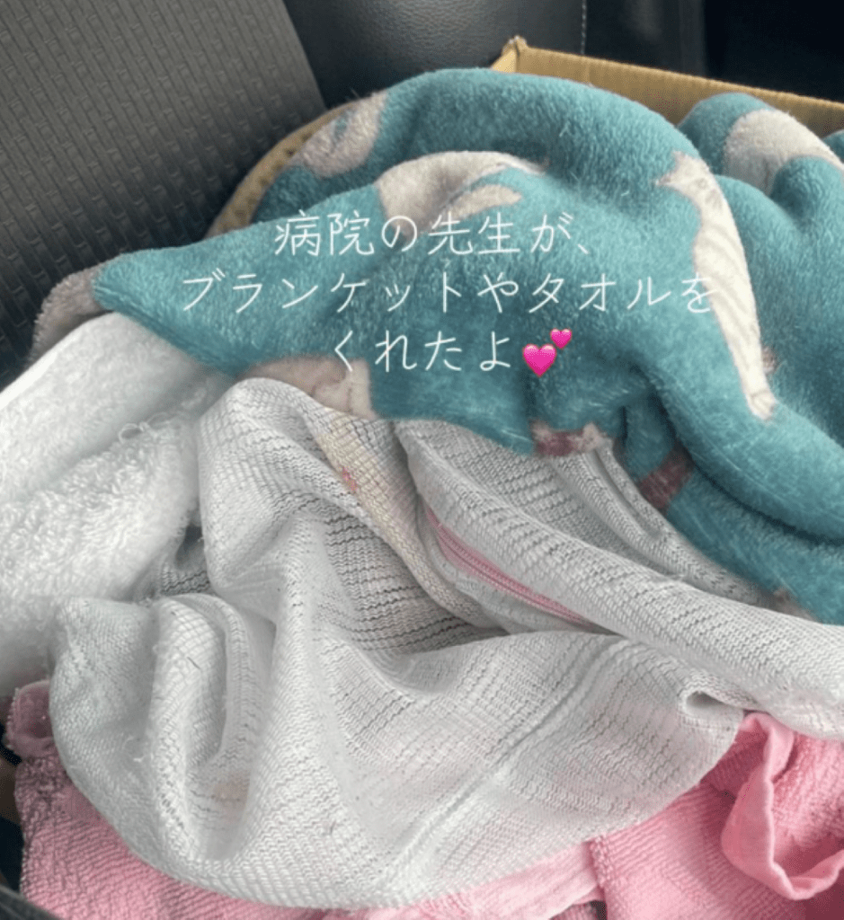 保護当初の様子③（＠alo021106さんより提供）