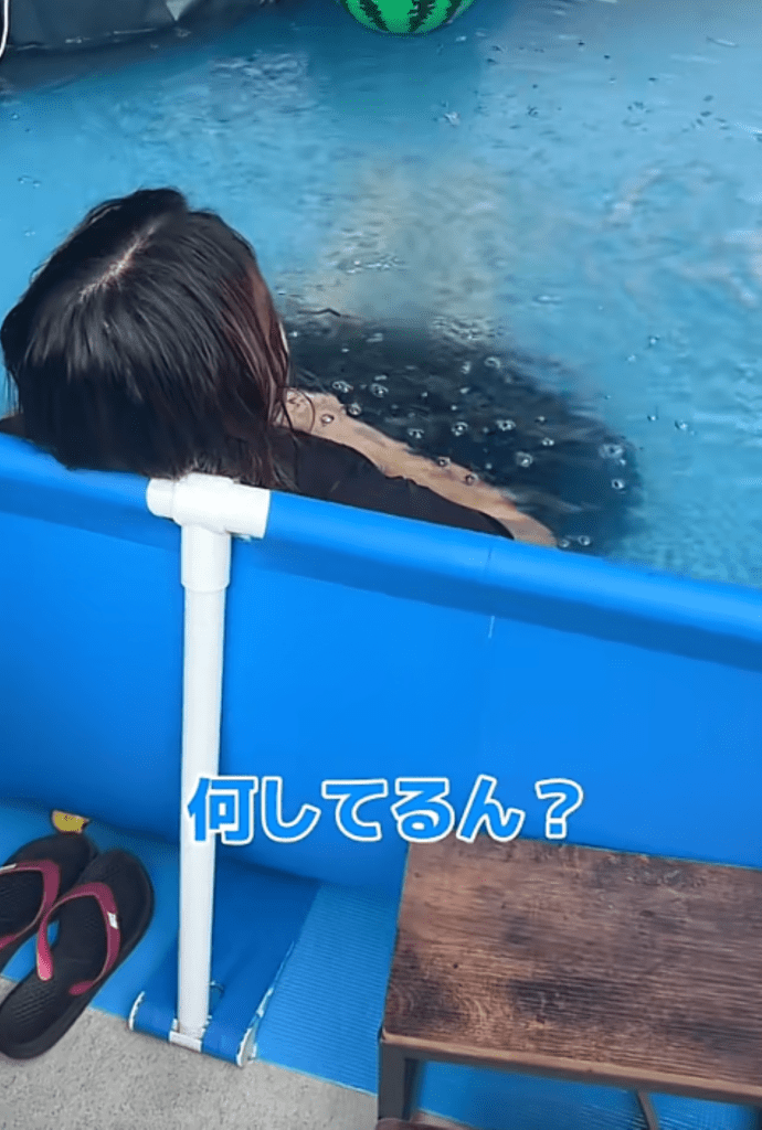 プールに入る奥さん④（＠bell_arifamilyさんより提供）