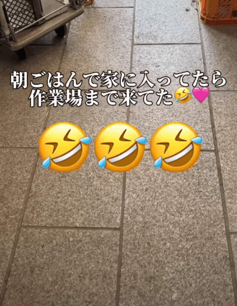 【実際の写真】　　投稿された写真