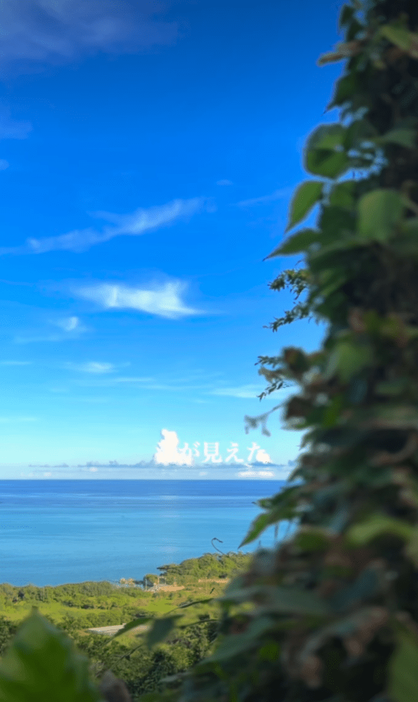 海が見える光景②（＠kakinohanacressさんより提供）