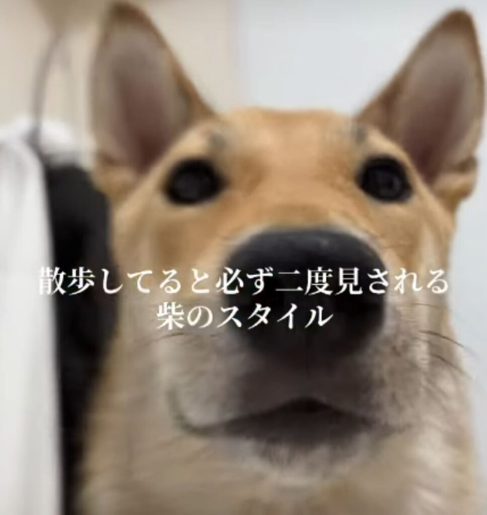 【実際の写真】　　投稿された写真