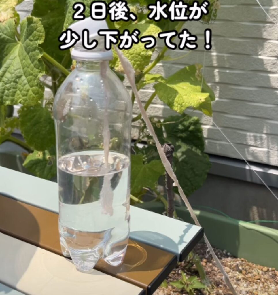 留守中の給水方法⑦（＠yuri_oyakosaienさんより提供）