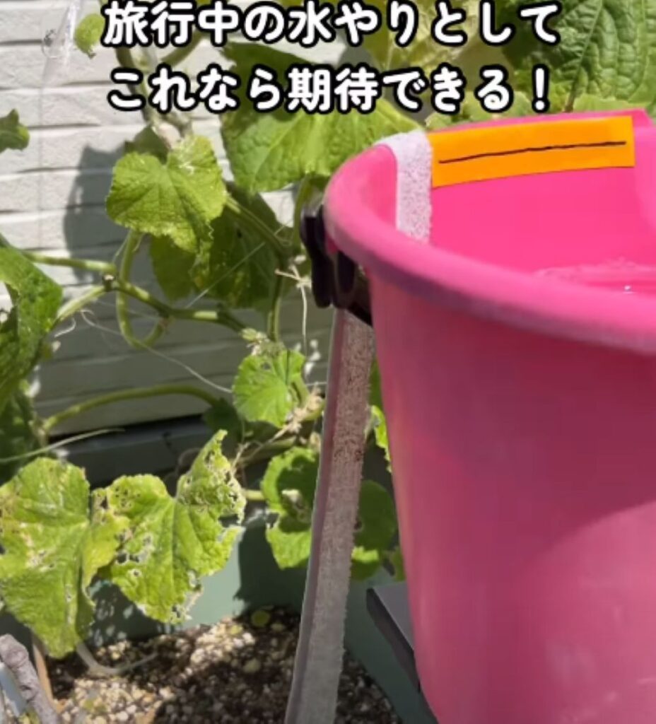 留守中の給水方法⑩（＠yuri_oyakosaienさんより提供）