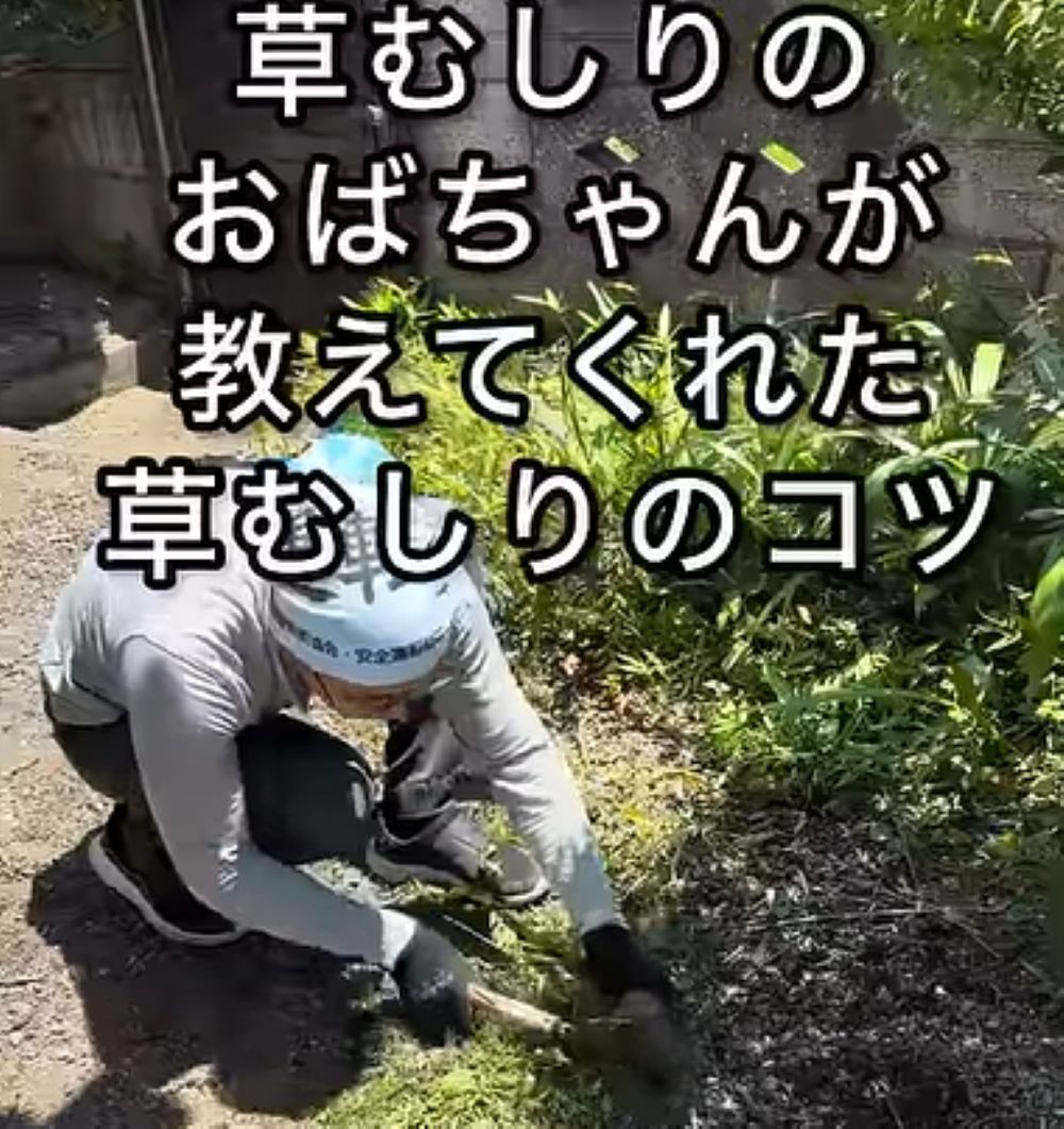 剪定の作業中、草むしりをしていたら→おばあさんからやり方を注意され…その驚きのコツに「参考になりました」「ありがとうおばあちゃん」