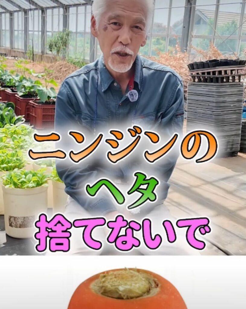ニンジンのヘタの活用法①（農業仙人さんより提供）