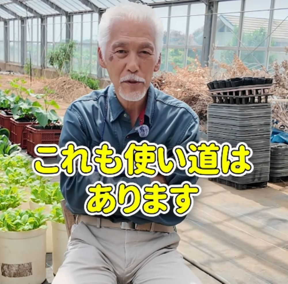 ニンジンのヘタの活用法②（農業仙人さんより提供）