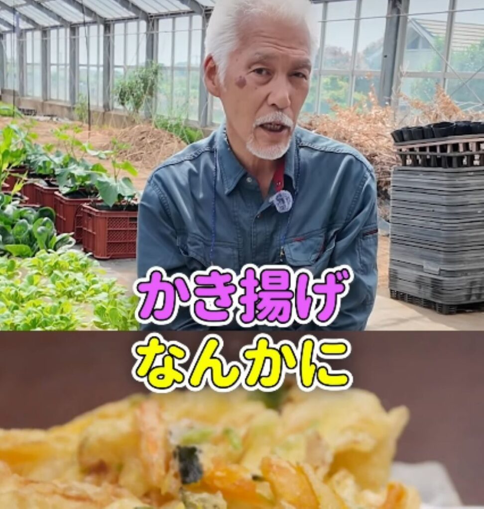 ニンジンのヘタの活用法⑦（農業仙人さんより提供）