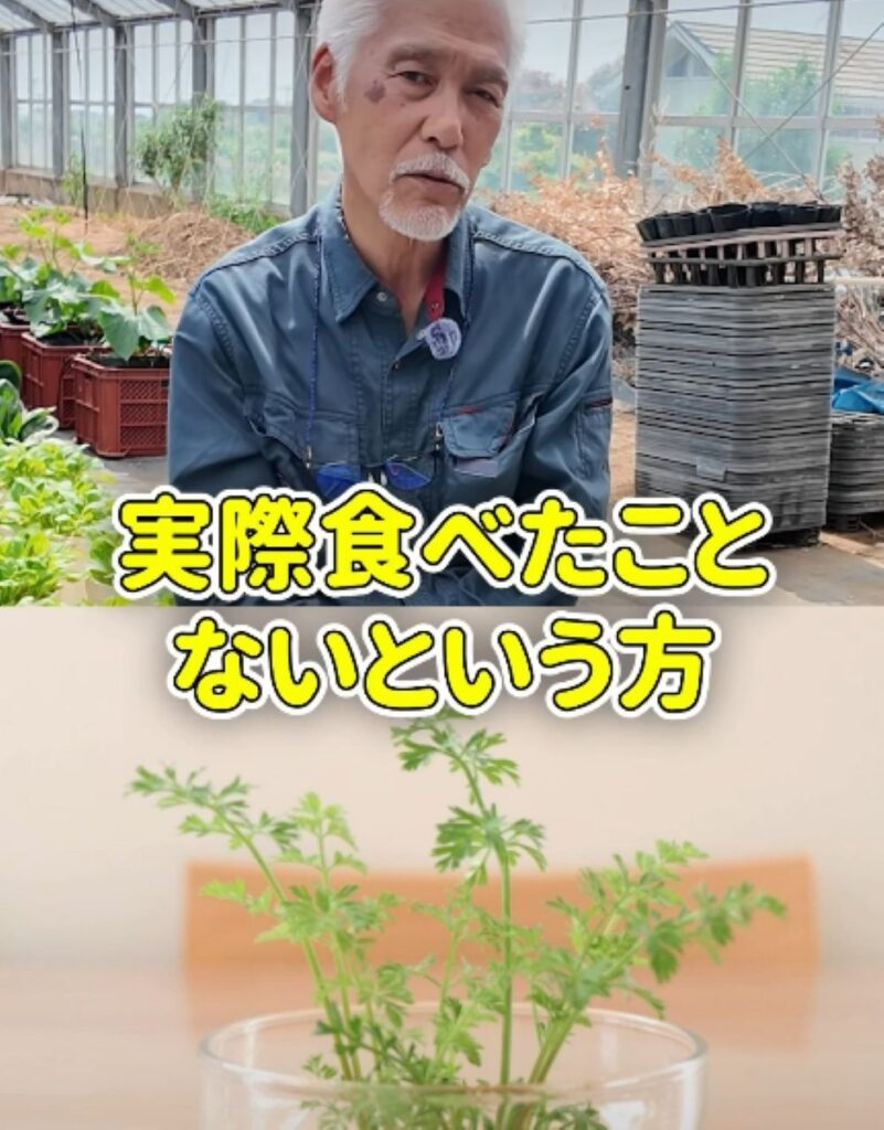 ニンジンのヘタの活用法⑥（農業仙人さんより提供）