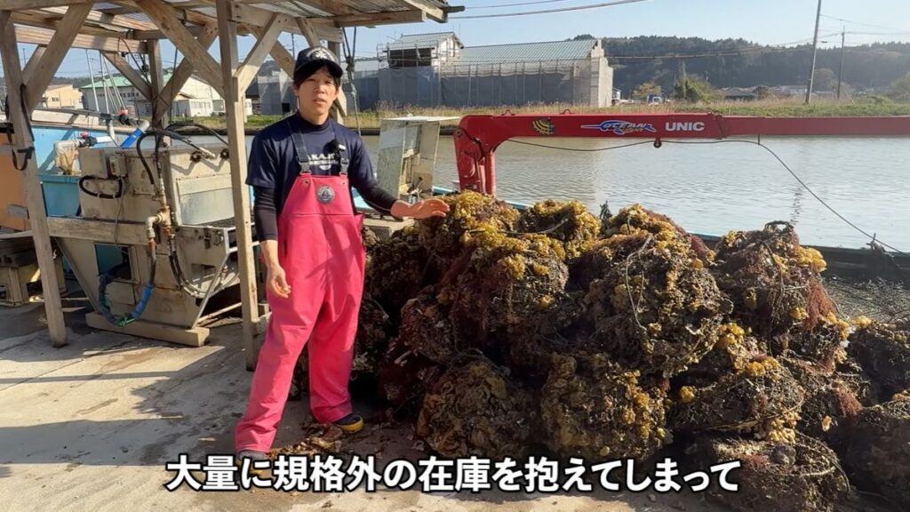 【実際の写真】　　投稿された写真