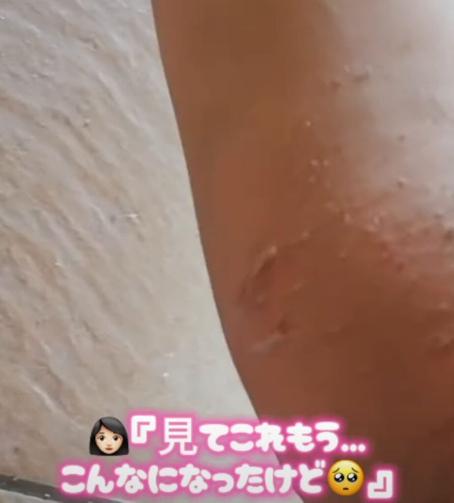 救出した子猫が家族になるまで③（＠nekotoningennokazokuさんより提供）