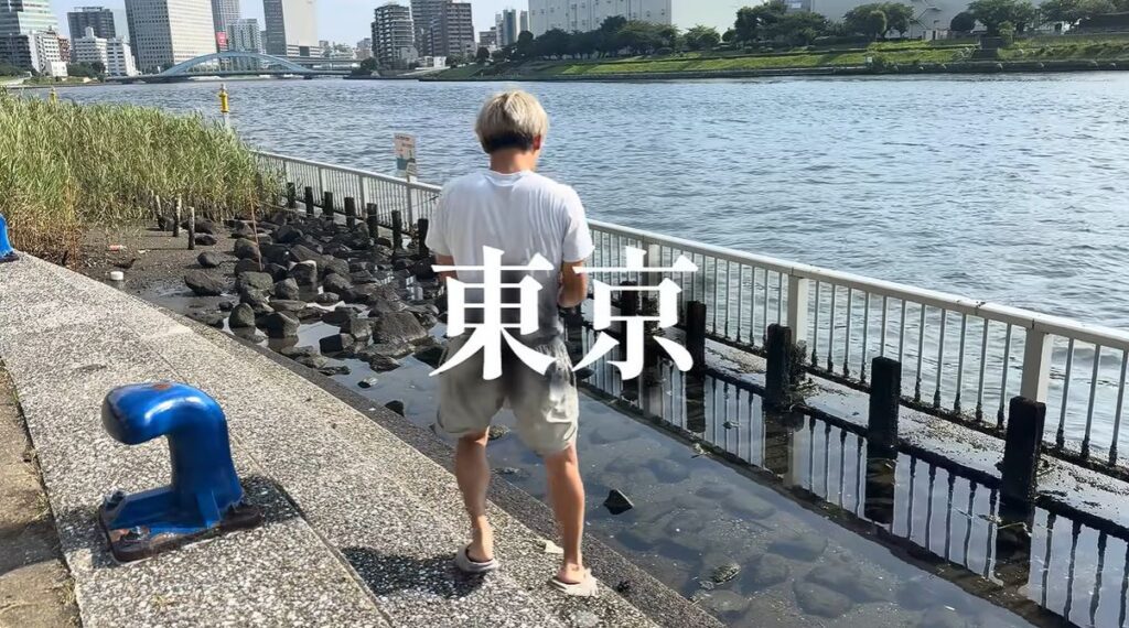 【実際の写真】　　投稿された写真