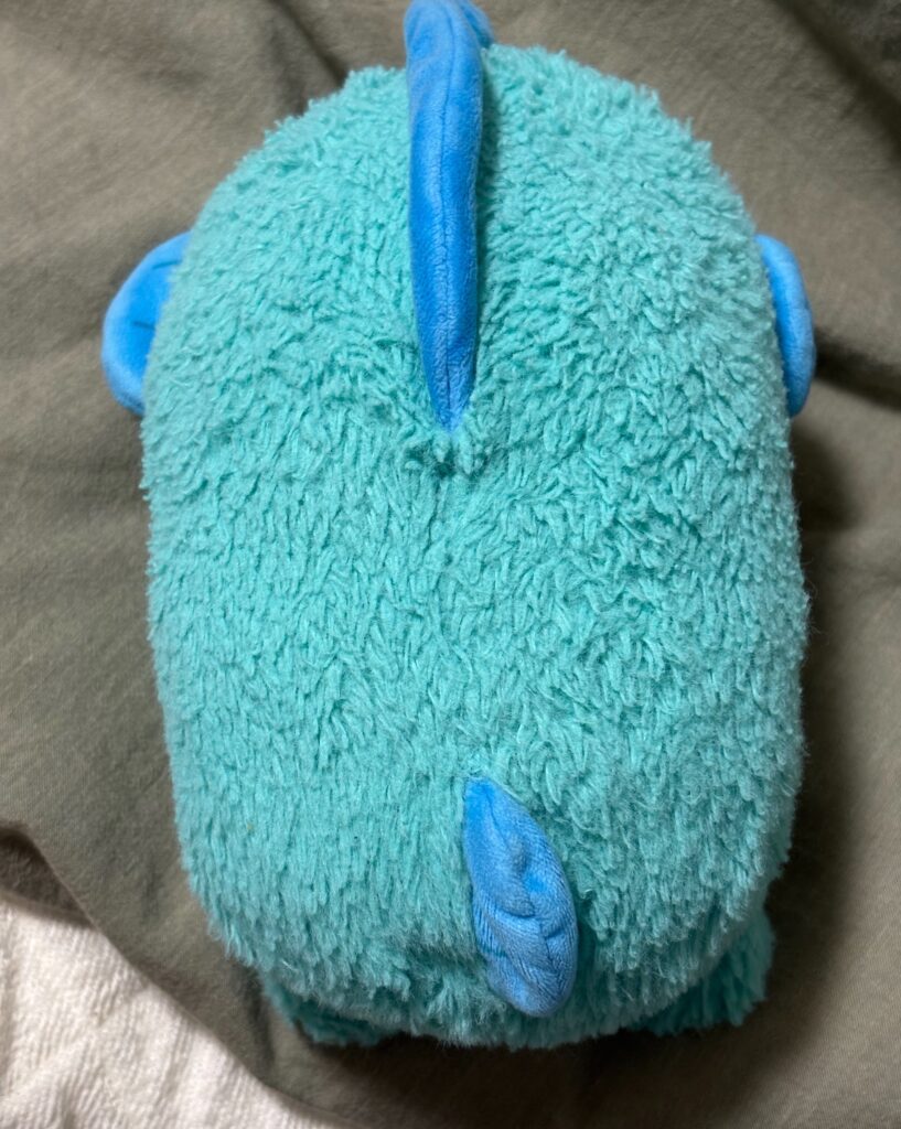 綿を入れ替えた後②（ぽろりさんより提供）