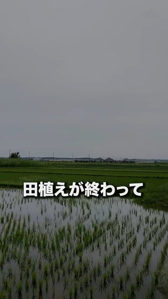 【実際の写真】　　投稿された写真