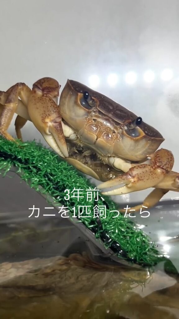 【実際の写真】　　現在の様子