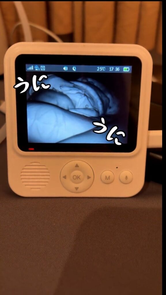 【実際の写真】　　投稿された写真