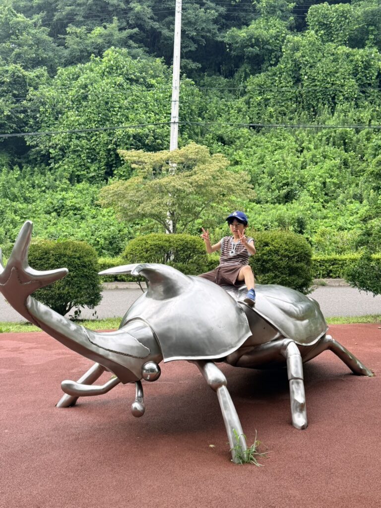 【実際の写真】　　投稿された写真