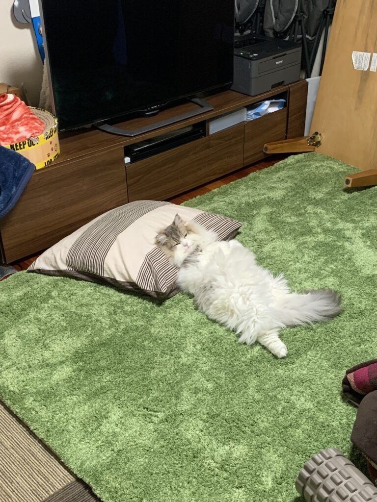 【実際の写真】　　投稿された写真