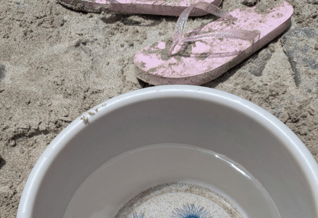 海に浮かぶ”お花”に違和感。すくってみたら…“恐怖の正体”に「綺麗なものには毒がある」「はじめてみました！！」「ひええ」