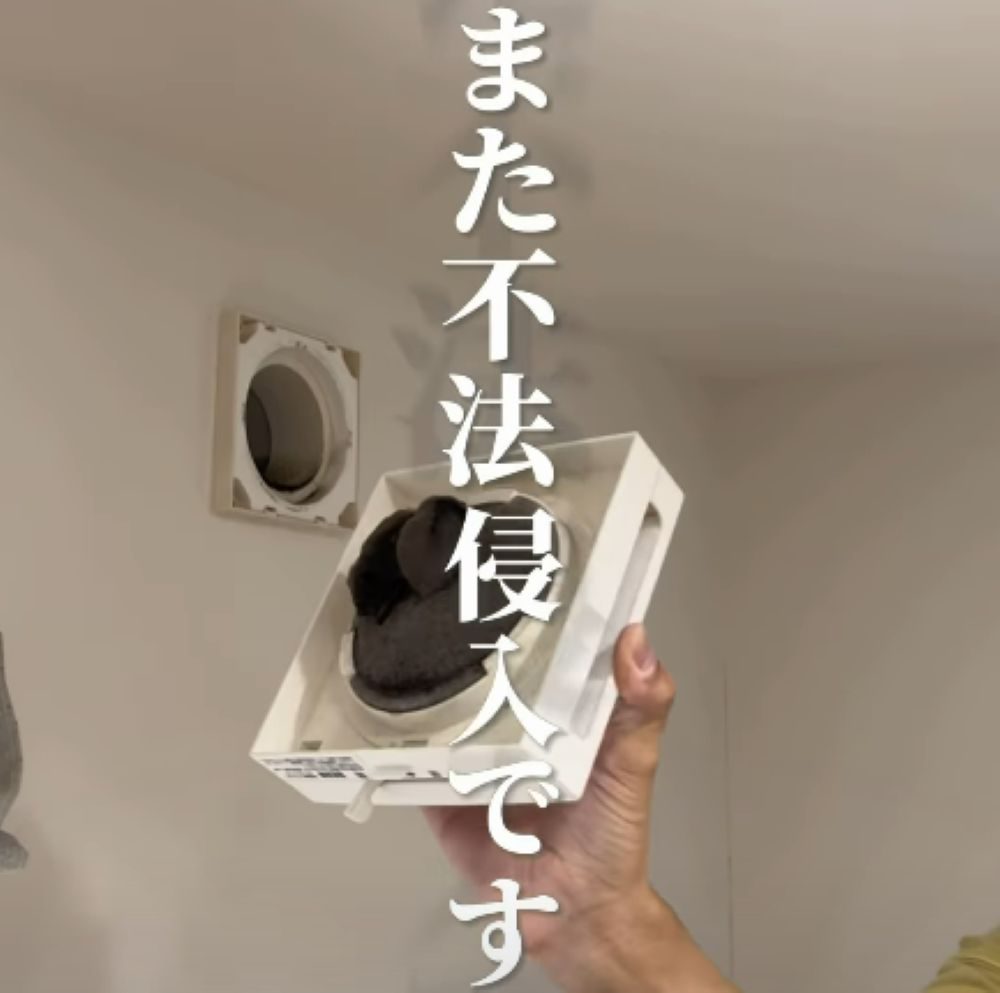 【実際の写真】　　投稿された写真