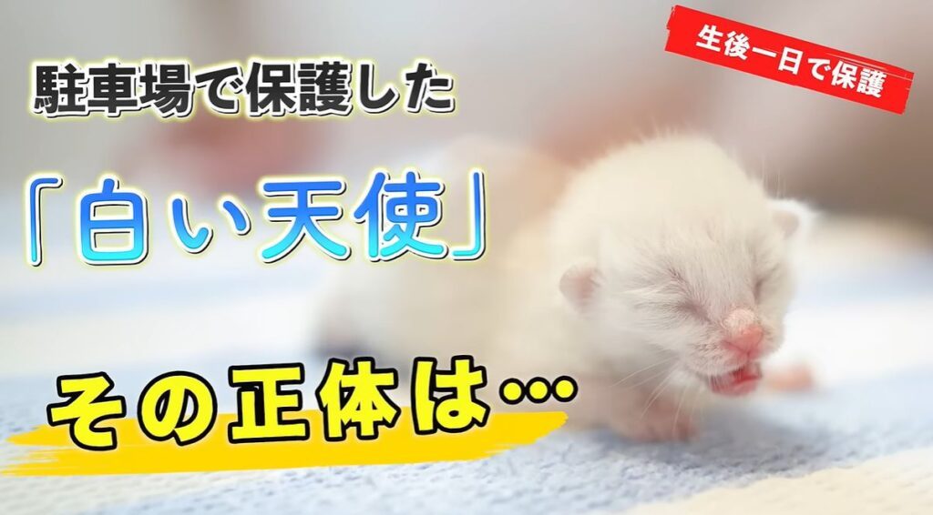 【実際の写真】　　現在の様子
