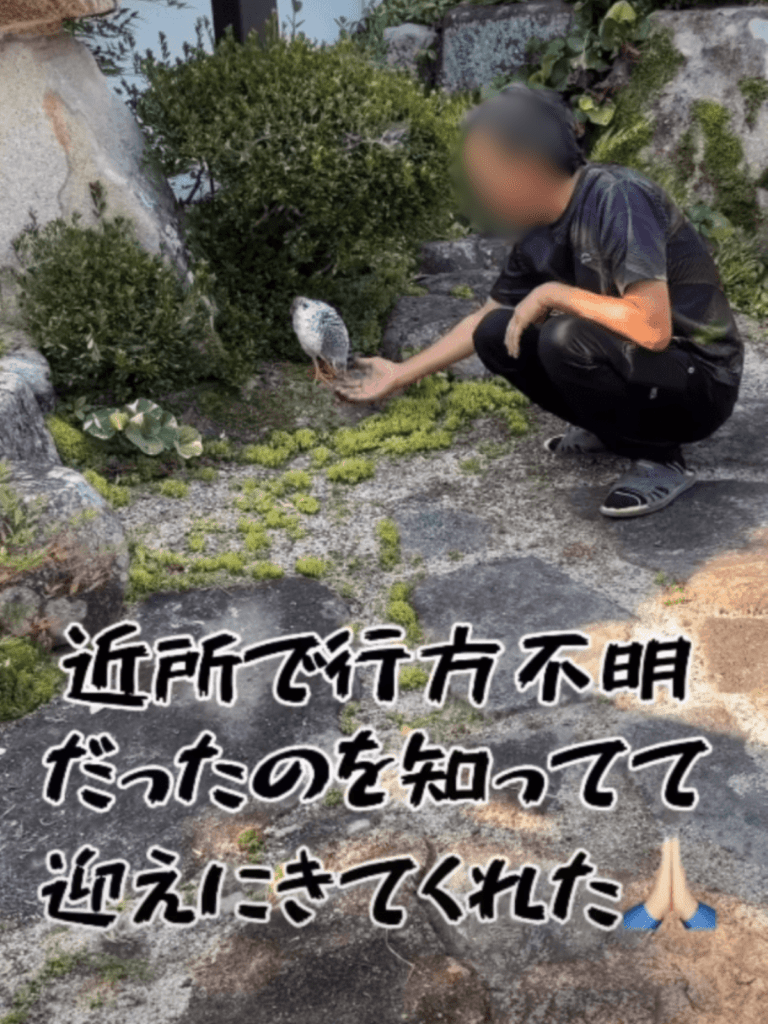 突然現れたニワトリ⑧（＠tamago_channel.youtubeさんより提供）