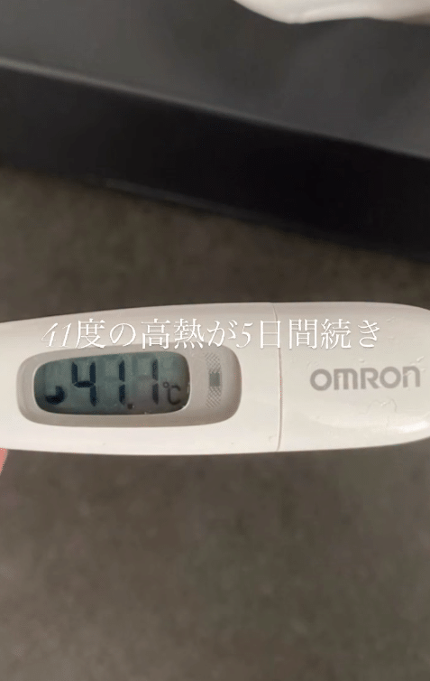 【実際の写真】　現在の様子